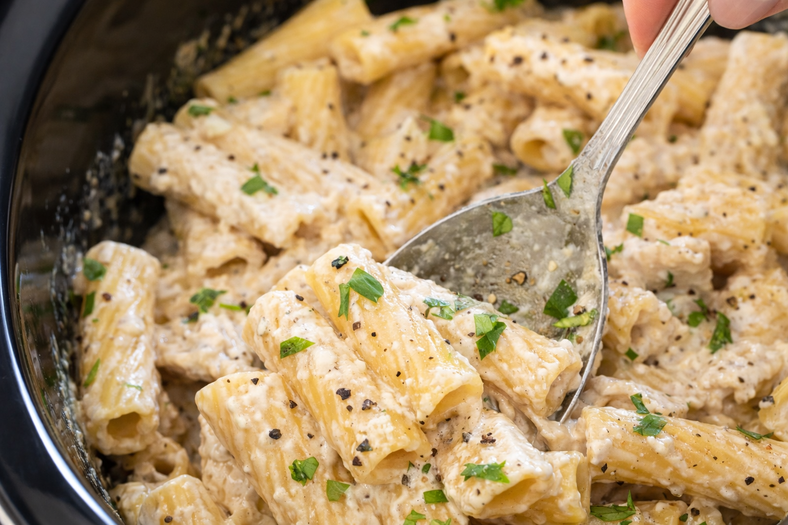 Chicken Alfredo